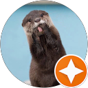Quan Lim profile picture